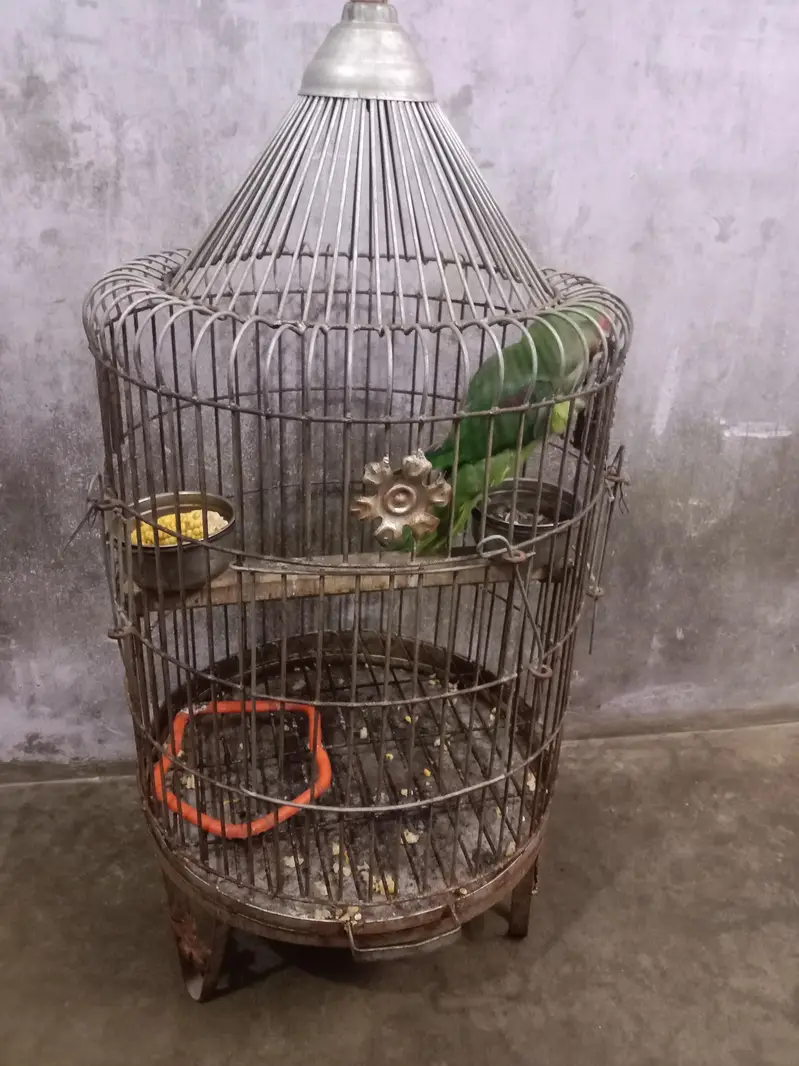 urgent sale karna hai — photo 3