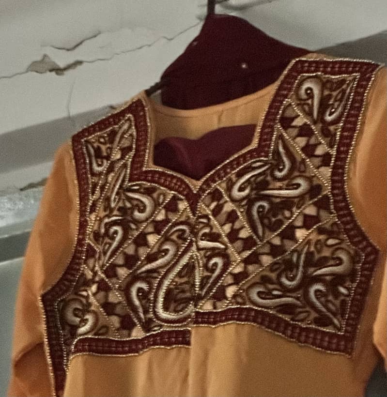 Dreses 3