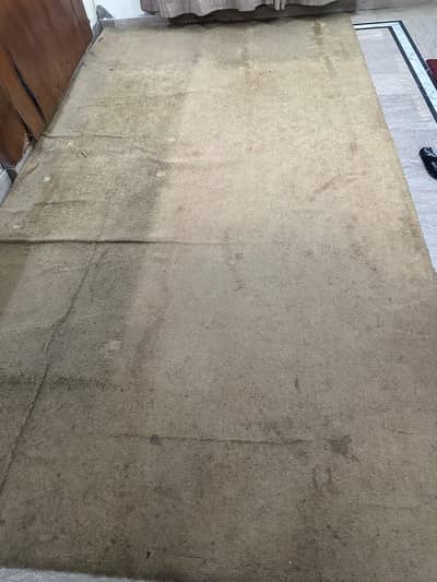carpet