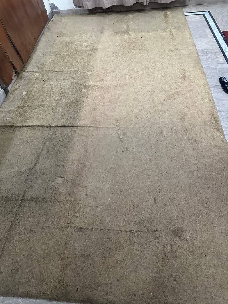 carpet 0