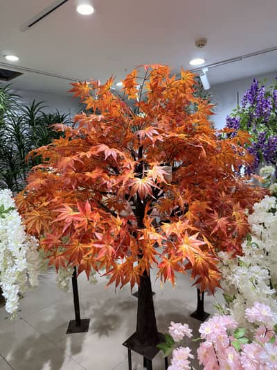 Artificial high quality trees.