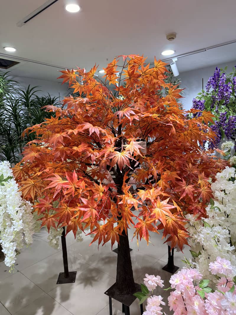 Artificial high quality trees. 0