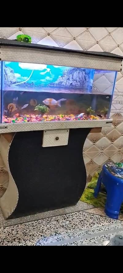 Aquarium