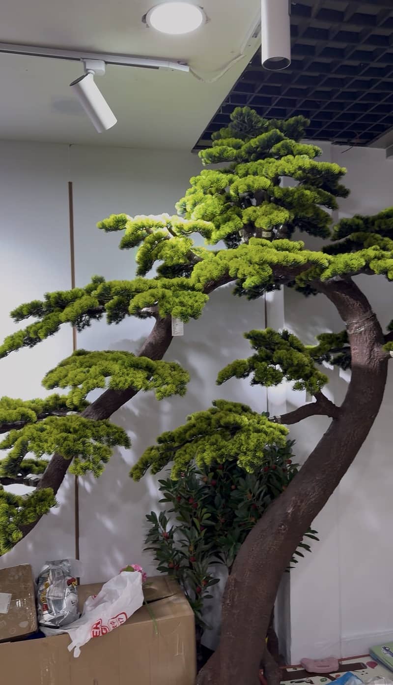 Artificial high quality trees. 2