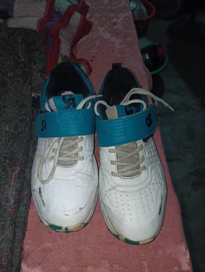 CA PRO Cricket Gripper Shoes  | 8 Number