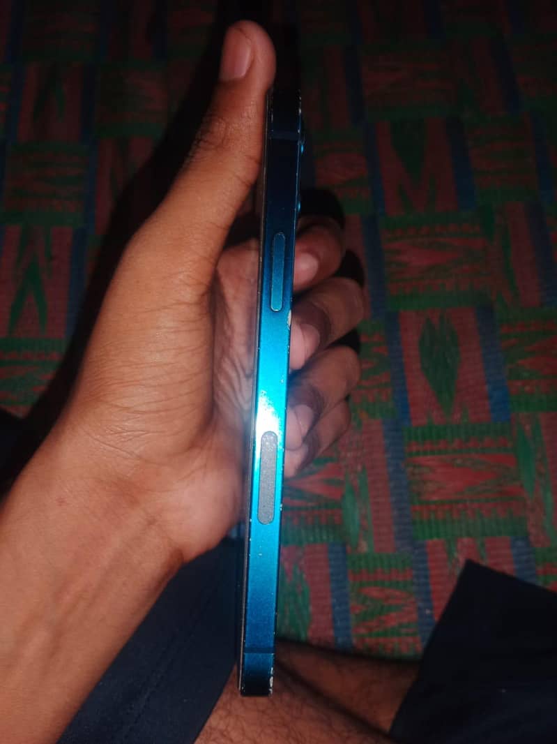 Apple iPhone 12 1