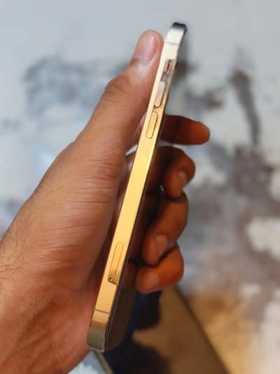 Apple iPhone 12 Pro