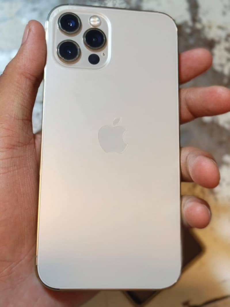 Apple iPhone 12 Pro 1