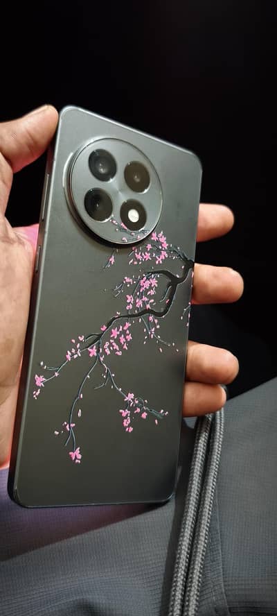 One Plus 13R