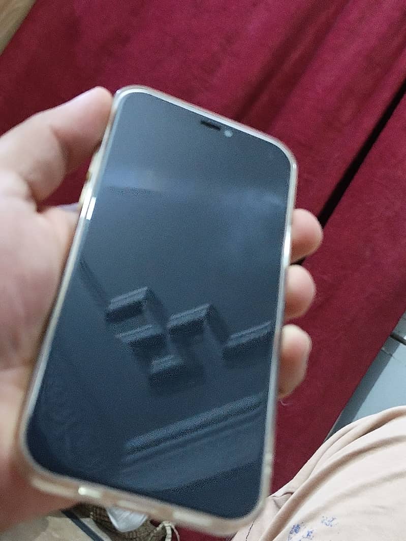 Apple iPhone 12 5