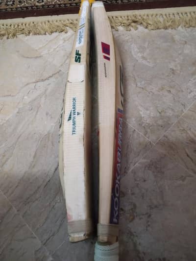 kashmir Willow hard Ball bat