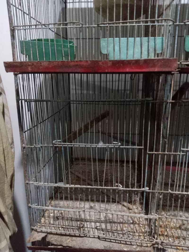 12 portion cage 1