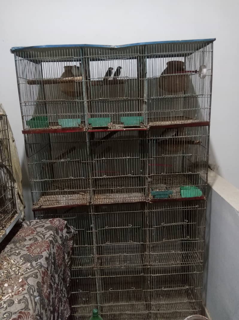 12 portion cage 3