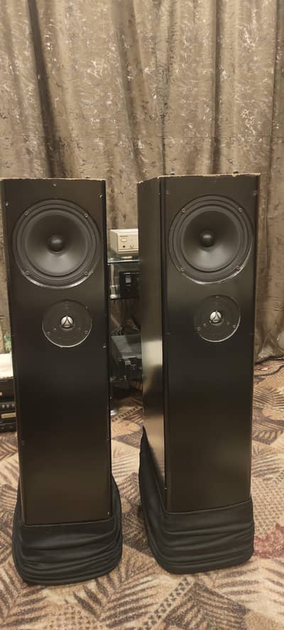 Lexiang audio tower speakers