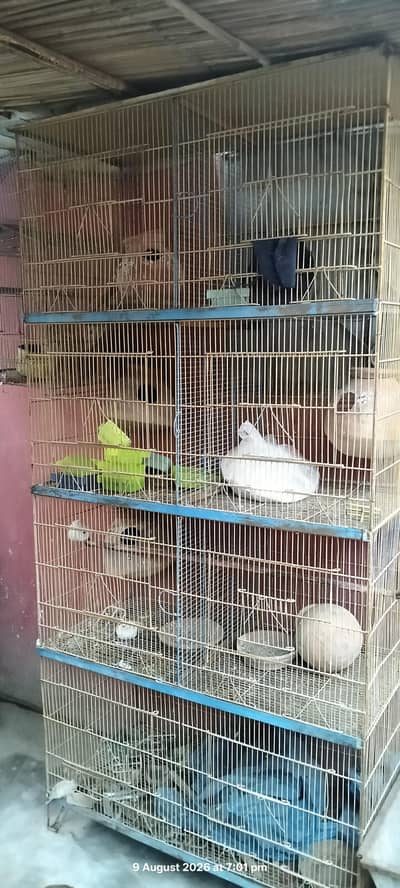8 portion cage heavy gauge