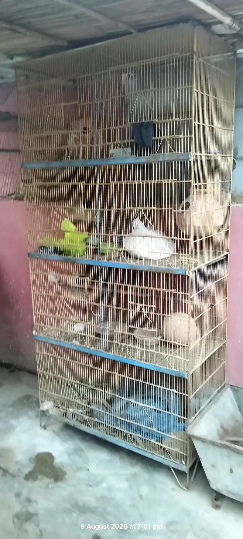 8 portion cage heavy gauge — photo 2