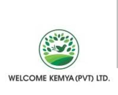 Social media e-commerce manager