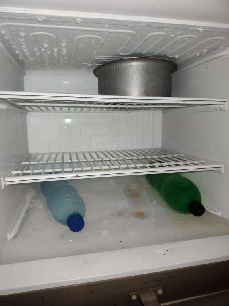 pel refriger 3