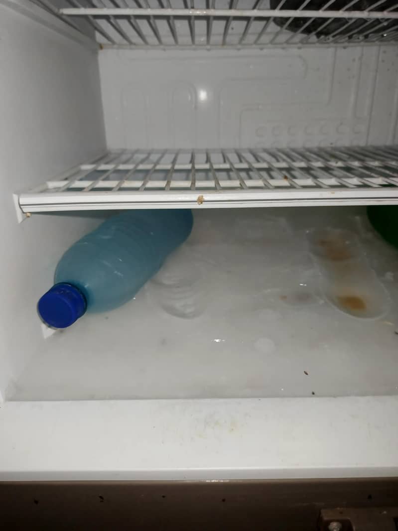 pel refriger 5