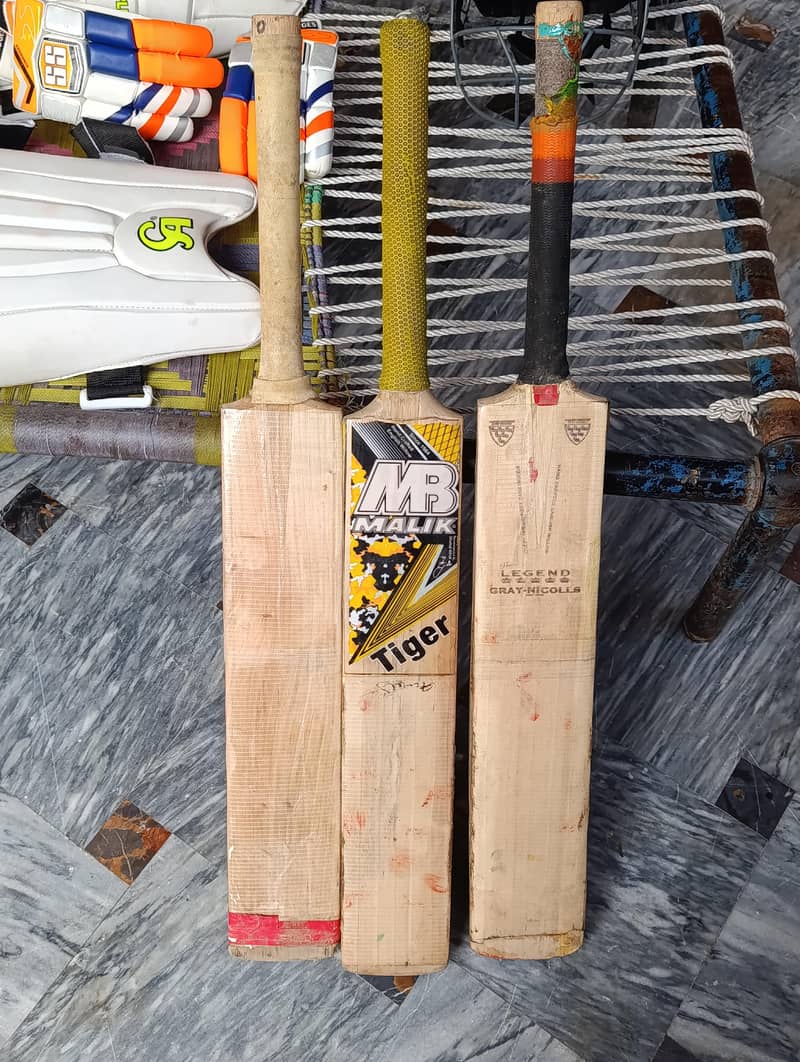 Cricket kit 2