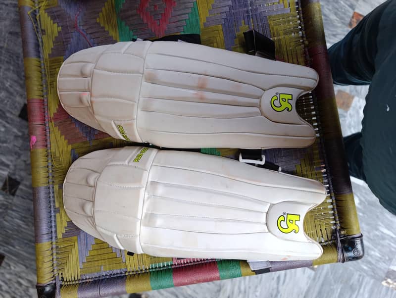 Cricket kit 8