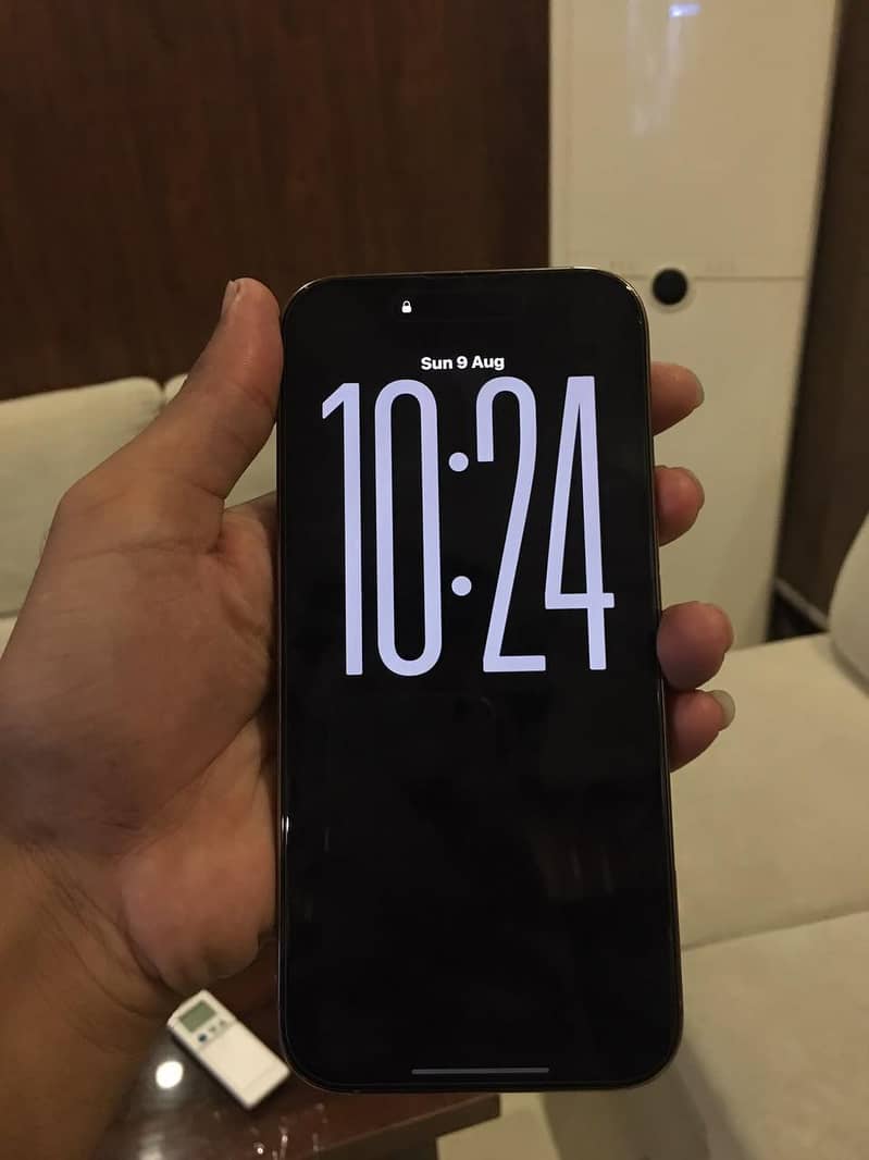 Apple iPhone 16 Pro Max 1