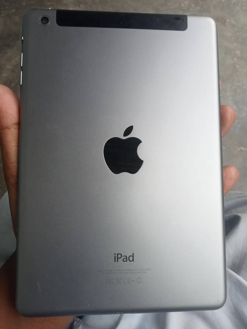 iPad mini 2 0