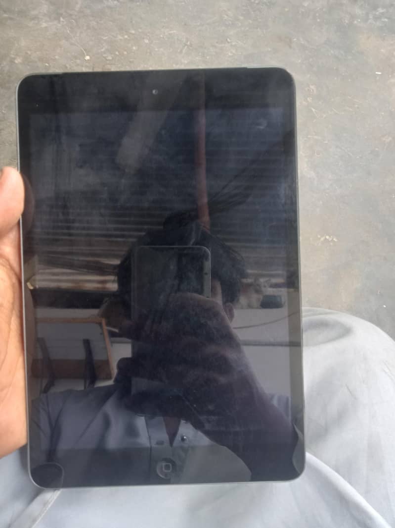 iPad mini 2 1