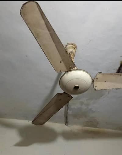 ceiling fan for sale