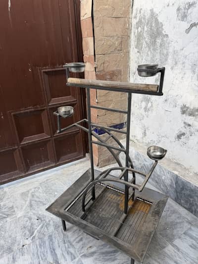 Parrot  stand for sale