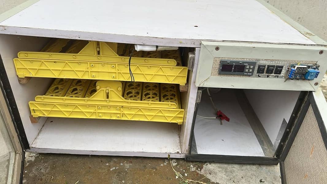 Automatic Incubator 4
