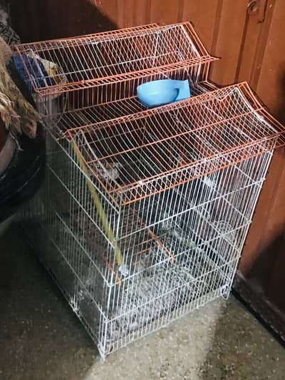 Cage for parrots & hen