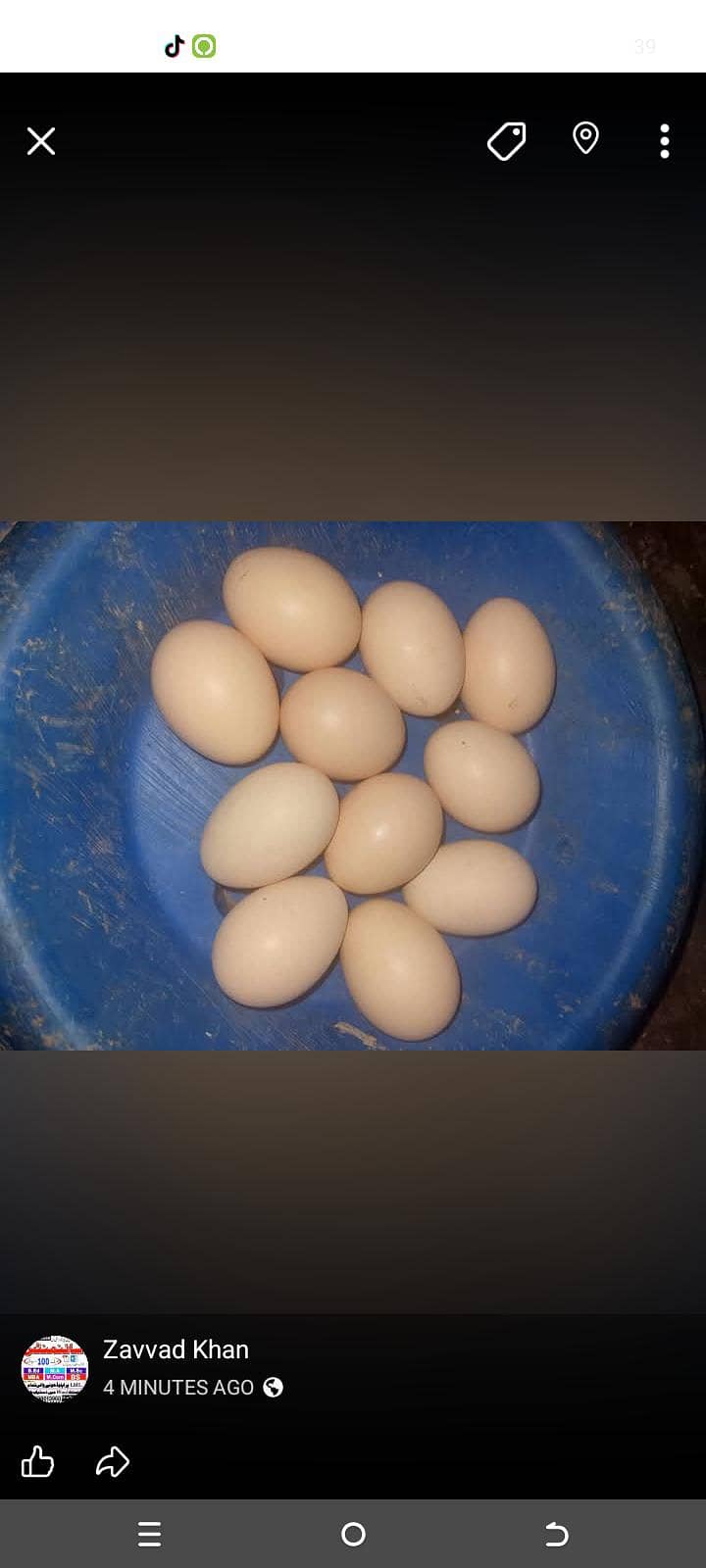 egg  2