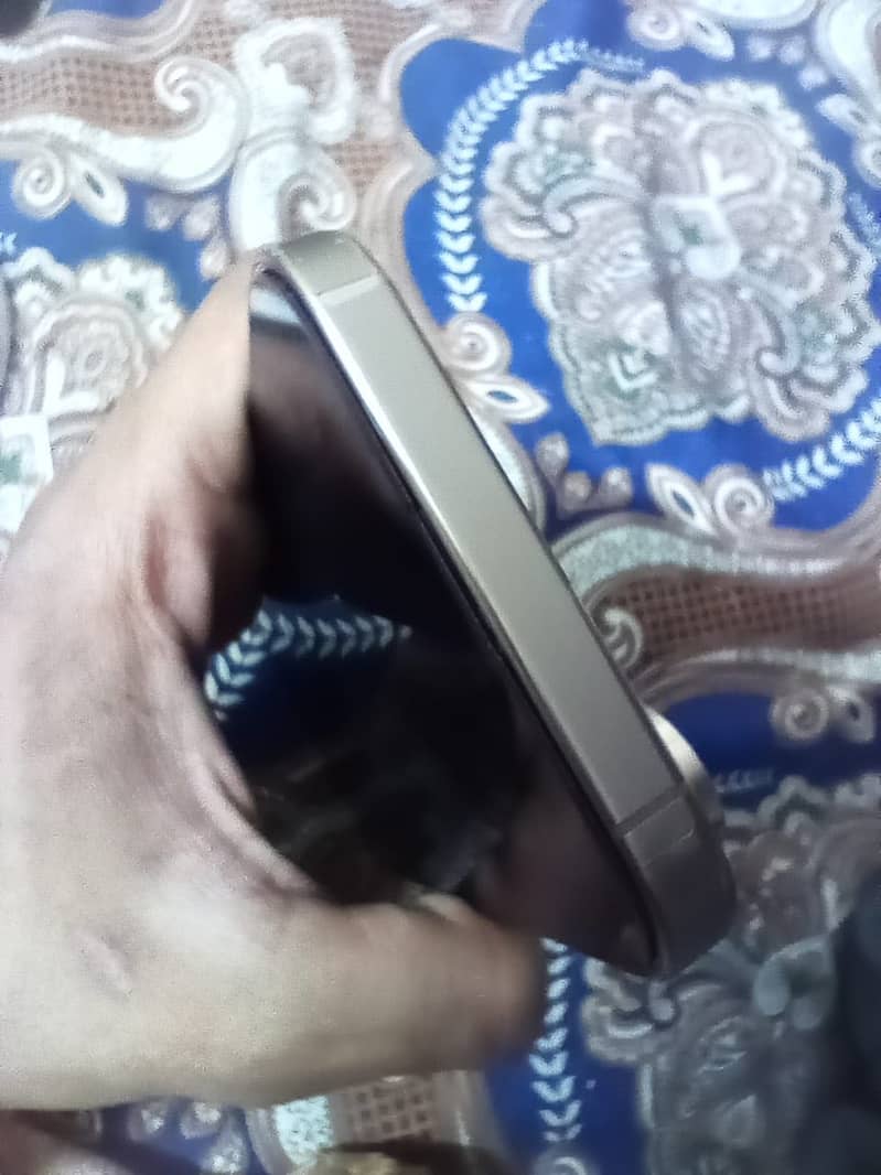 Apple iPhone 16 Pro Max 1