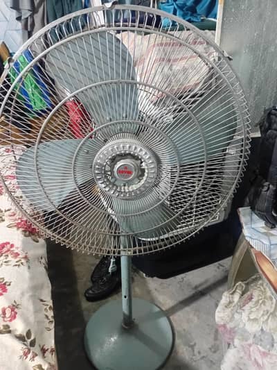 Royal pedestal Fan.