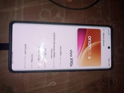 Vivo X90s