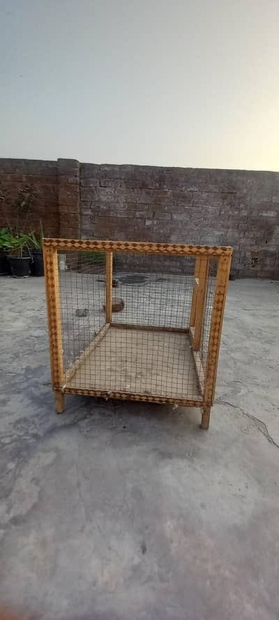 birds cage