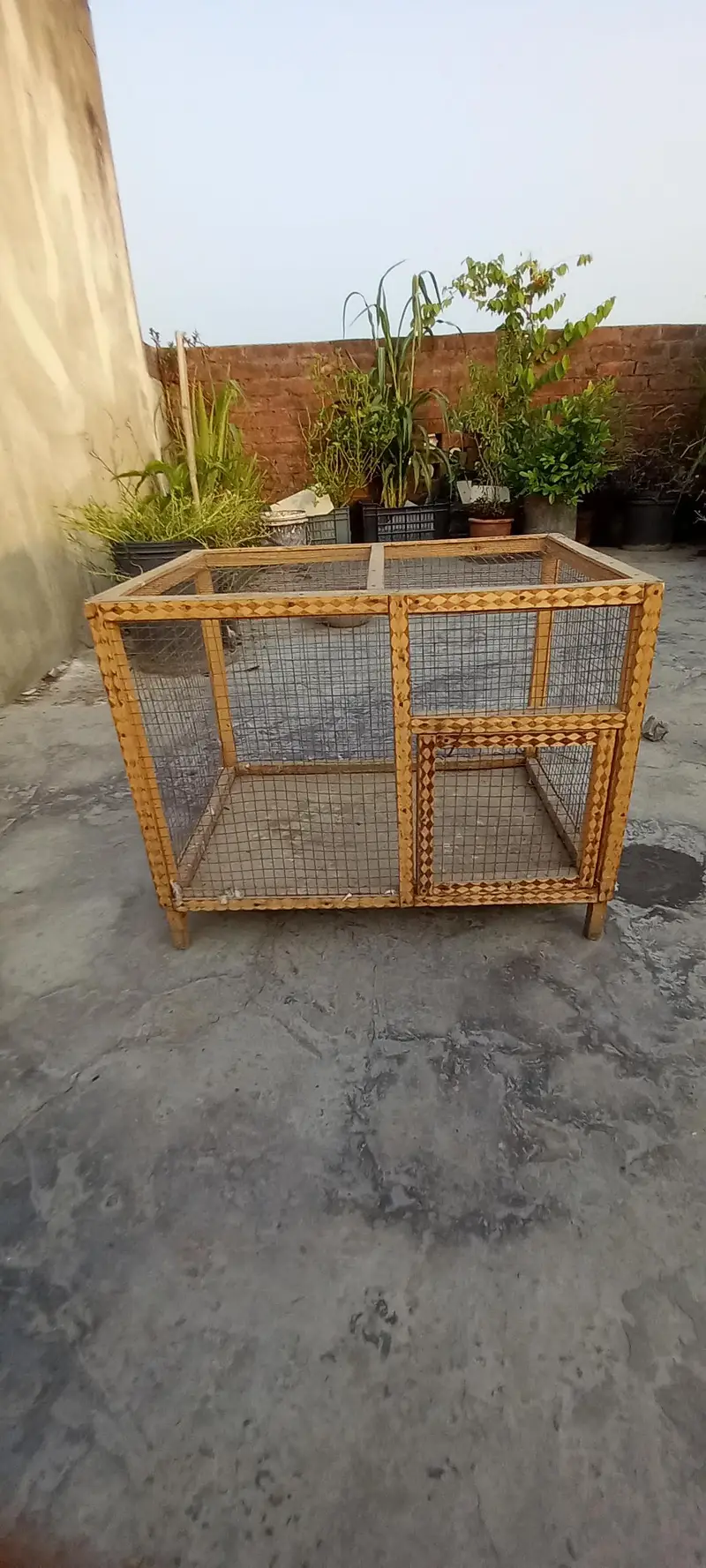 birds cage — photo 3