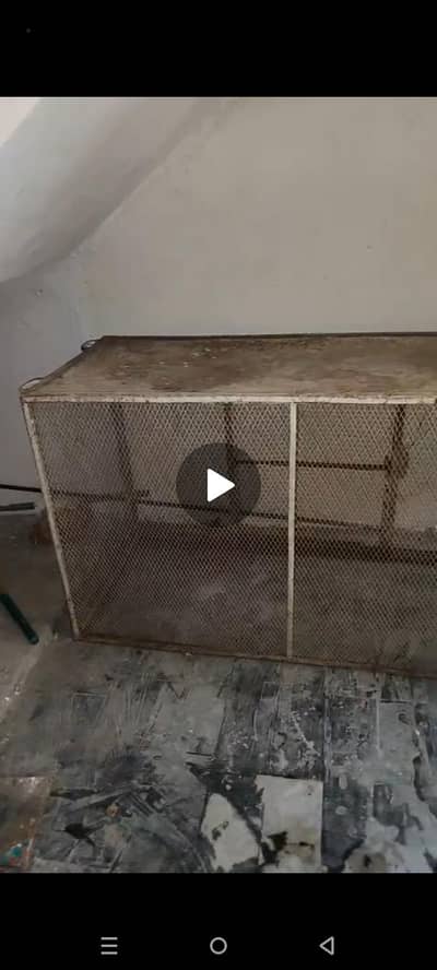 iron cage