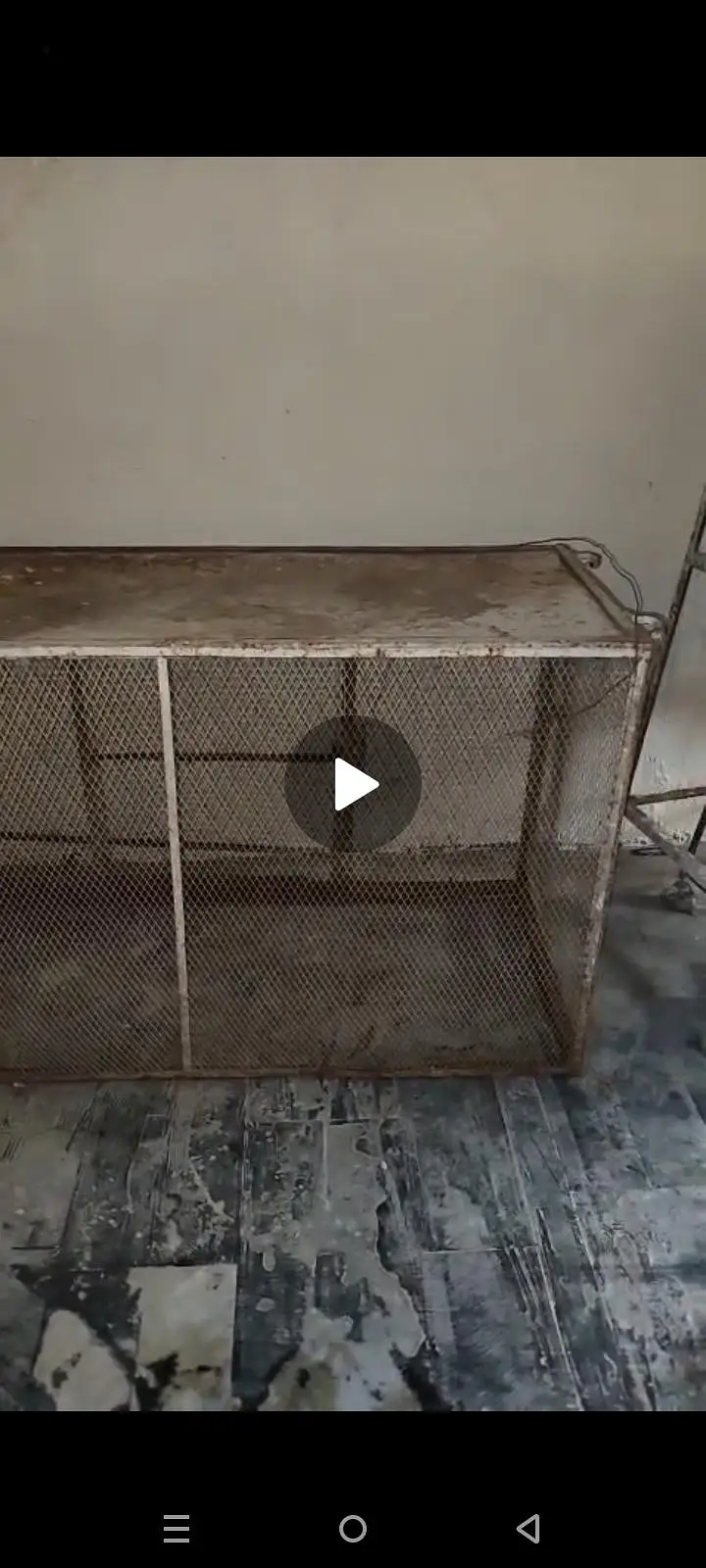 iron cage — photo 2