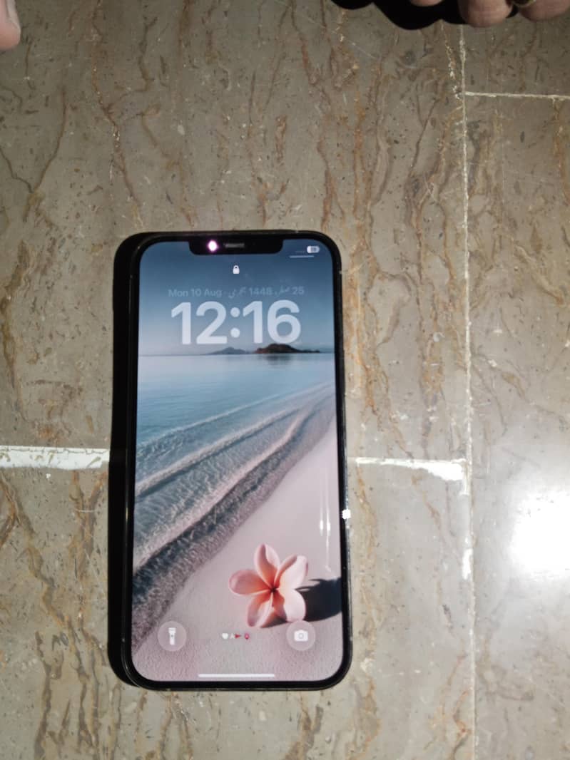 Apple iPhone 12 Pro Max 2
