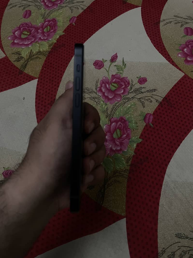 Apple iPhone 12 1