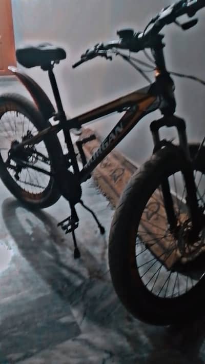 Mountain cycle