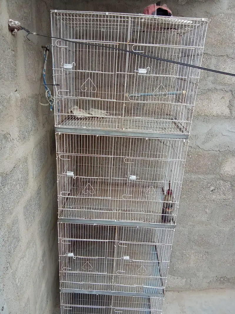Cage For Sell — photo 2