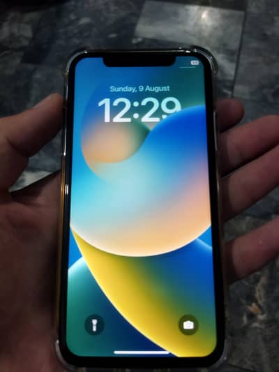 Apple iPhone X