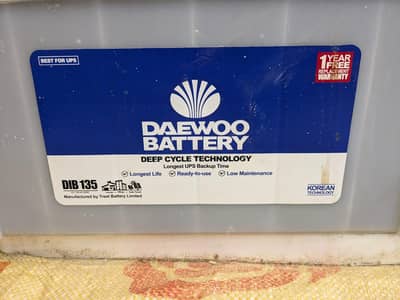 Daewoo DIB 135 battery & SIMTEK 12v charger