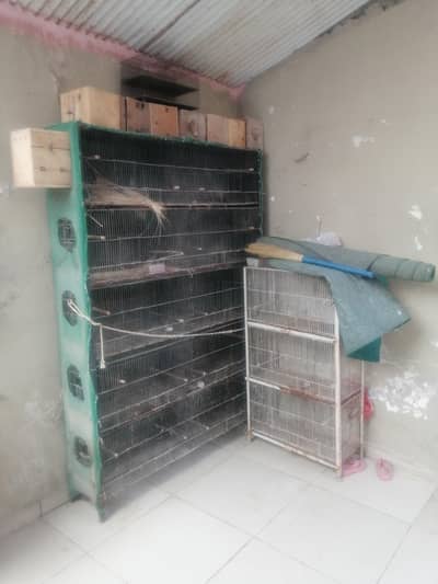 cages