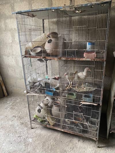 Cages