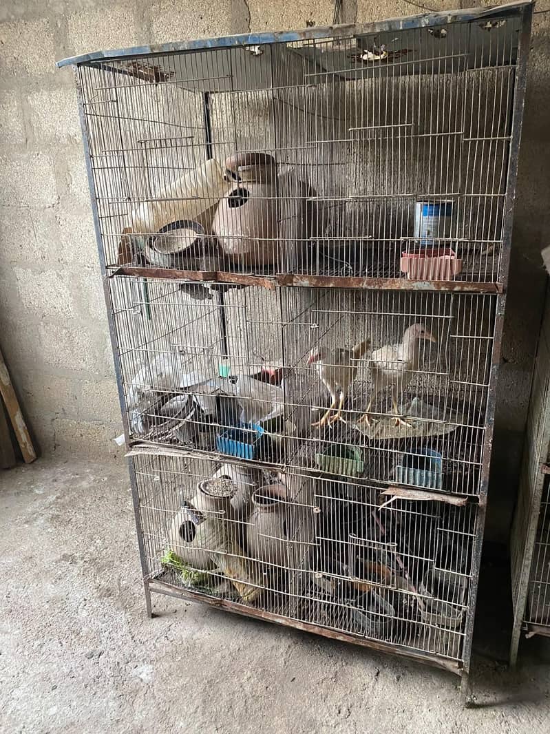 Cages 0