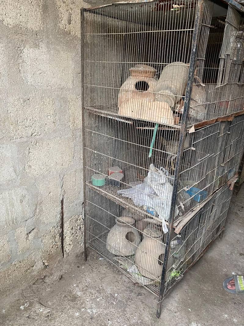Cages 1